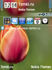 Цветок для Nokia 6220 classic
