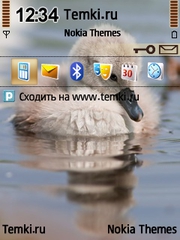Уточка для Nokia N81 8GB