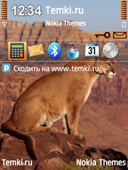 Пума на скале для Nokia N77