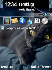 Киса для Nokia N80