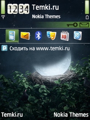Луна в гнезде для Nokia X5-01