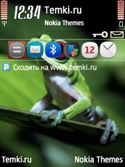 Лягушка для Nokia 5730 XpressMusic