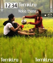 Пуэр в рисовом поле для Nokia N90