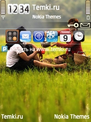 Пуэр в рисовом поле для Nokia N78