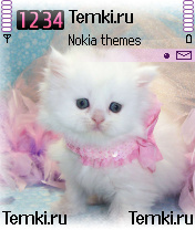Котеночек для Nokia N72