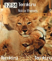 Два льва для Samsung SGH-D720