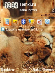 Два льва для Nokia 6700 Slide