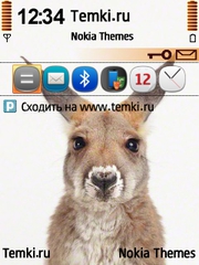 Кролик для Nokia 6790 Surge