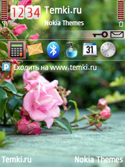 Розы для Nokia X5 TD-SCDMA