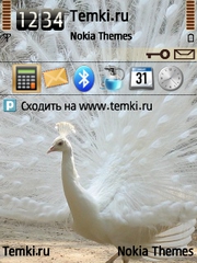 Павлин для Nokia N96-3