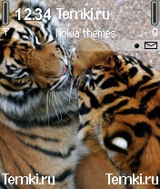 Парочка тигров для Nokia N90