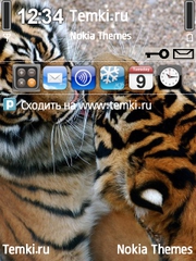 Парочка тигров для Nokia X5 TD-SCDMA