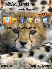 Обиженный котенок для Nokia 6790 Slide