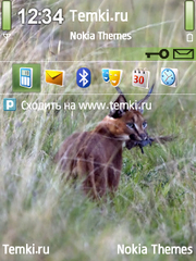 Рысь с дичью для Nokia N80