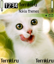 Кошка для Nokia 6600