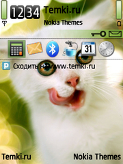 Кошка для Nokia E90