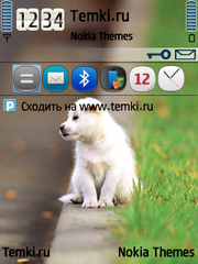 Песик для Nokia E61i