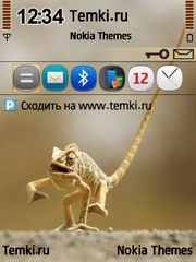 Зверюха для Nokia N71