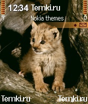 Лесной котёнок для Nokia 6670