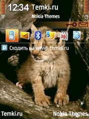 Лесной котёнок для Nokia N73