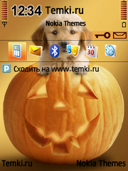 Щенок в тыкве для Nokia N95-3NAM