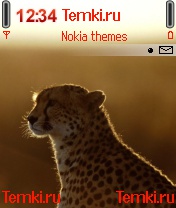 Портрет гепарда для Nokia 6630