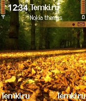 Осенняя аллея для Nokia N72