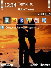 Романтичная для Nokia 6790 Surge