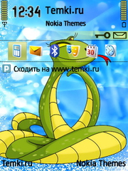 2013 Год Змеи для Nokia 6120