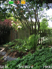Дождливый сад для Nokia 3711