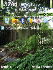 Дождливый сад для Nokia 6124 Classic