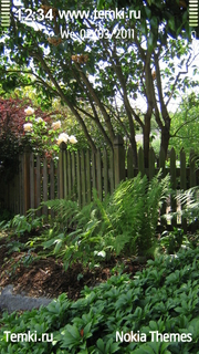 Дождливый сад для Nokia 5800