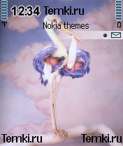 Аист для Nokia N72
