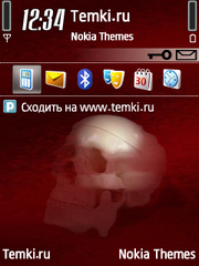 Череп для Nokia N81