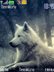 Белый волк для Nokia 6600 fold