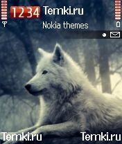 Белый волк для Nokia 6260