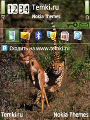 Гепард и его добыча для Nokia N76