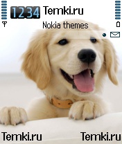 Щенок для Nokia N72