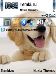 Щенок для Nokia E51