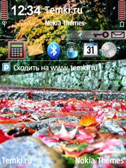 Листья на мостовой для Nokia N92