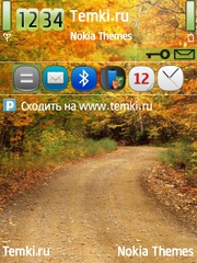 Осенняя дорога для Nokia 6790 Slide