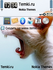 Дикая кошечка для Nokia N73