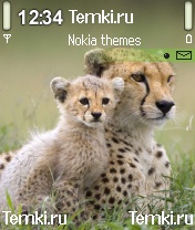 Мать и дочь для Nokia N70