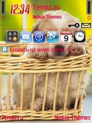 Щеночек для Nokia N75