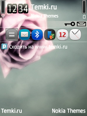 Розовая роза для Nokia E71