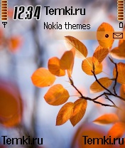 Кусочек осени для Nokia N72