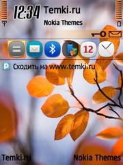 Кусочек осени для Nokia E71