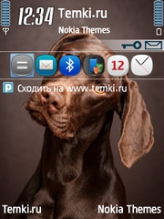 Забавная собачка для Nokia 6700 Slide