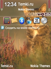 Усатый кот для Nokia E66