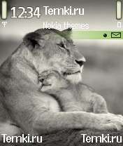 Львенок и его мама для Samsung SGH-D730
